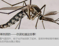 登革熱預(yù)防——你該知道這些事！